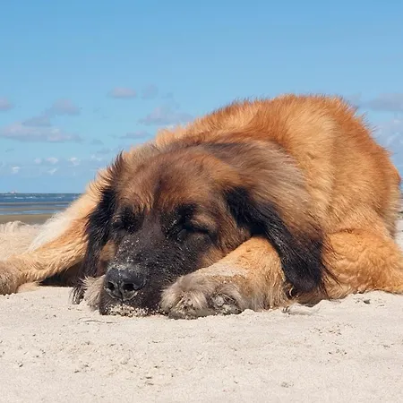 Kroeslin Prázdninový dům *